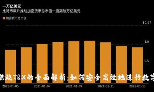 : 冷钱包燃烧TRX的全面解析：如何安全高效地进行数字资产管理