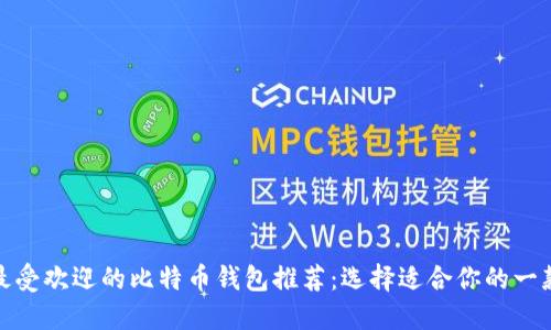 最受欢迎的比特币钱包推荐：选择适合你的一款