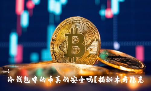 :
冷钱包中的币真的安全吗？揭秘木马隐患