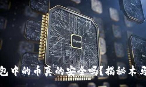 :
冷钱包中的币真的安全吗？揭秘木马隐患