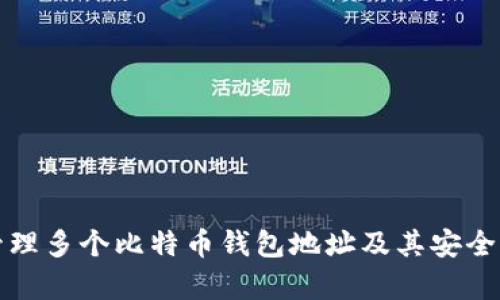 如何管理多个比特币钱包地址及其安全性分析