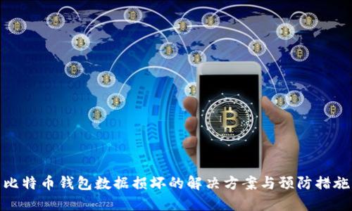 比特币钱包数据损坏的解决方案与预防措施