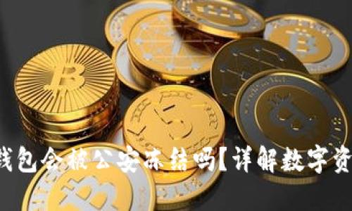 : 5token.im冷钱包会被公安冻结吗？详解数字资产的安全与风险