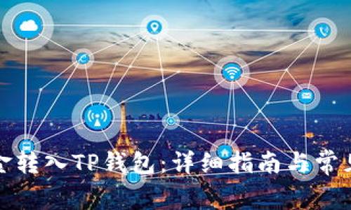 如何将资金转入TP钱包：详细指南与常见问题解答