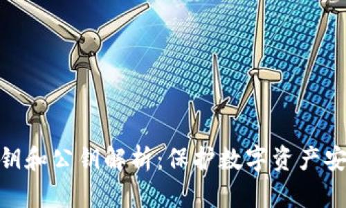 冷钱包私钥和公钥解析：保护数字资产安全的关键
