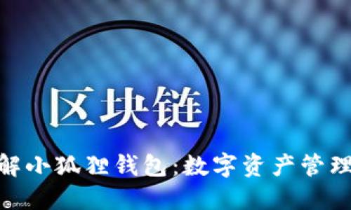 : 全面了解小狐狸钱包：数字资产管理的新选择