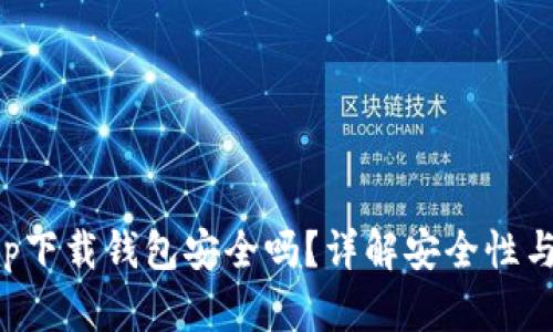 虚拟币app下载钱包安全吗？详解安全性与防范措施