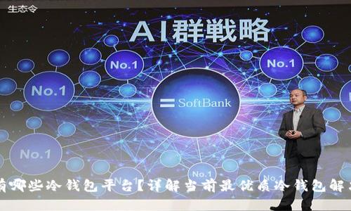 网上有哪些冷钱包平台？详解当前最优质冷钱包解决方案