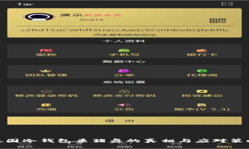 德国冷钱包杀猪盘的真相与应对策略