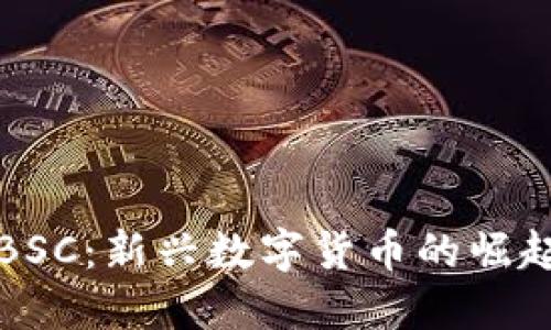探索虚拟币BSC：新兴数字货币的崛起与未来展望