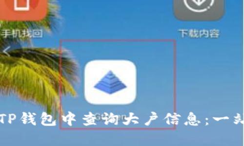 如何在TP钱包中查询大户信息：一站式指南