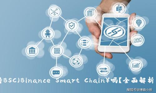 TP钱包支持BSC（Binance Smart Chain）吗？全面解析与用户指南