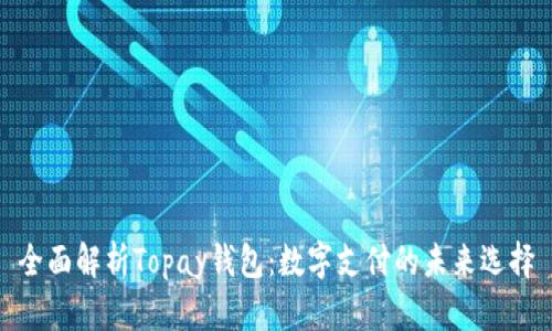 全面解析Topay钱包：数字支付的未来选择