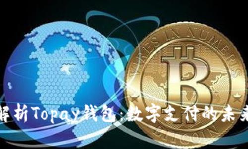 全面解析Topay钱包：数字支付的未来选择