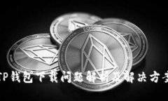 TP钱包下载问题解析及解决方案